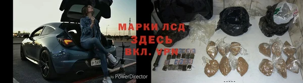 гашик Корсаков
