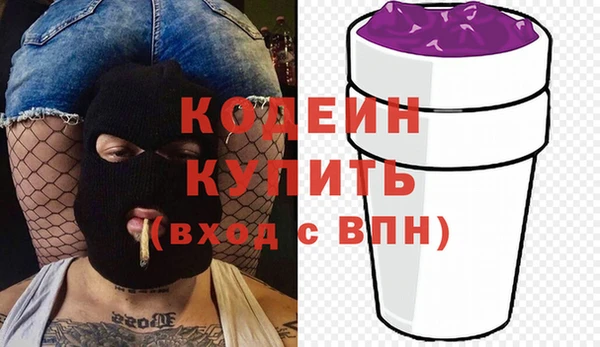 гашик Корсаков