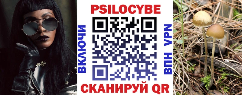 Галлюциногенные грибы ЛСД  Венёв 